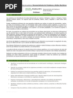 Practica #5 Reconocimiento de Proteínas y Ácidos Nucleicos