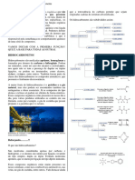 HIDROCARBONETOS - Nomenclatura e Propriedades