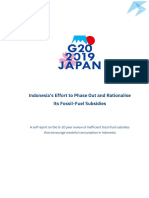 Indonesia G20 Self-Report IFFS