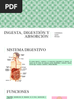 Ingesta, Digestión y Absorción