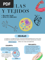 Celulas y Tejidos