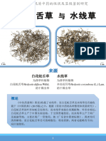 白花蛇舌草与水线草