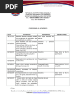 Cronograma de Actividades