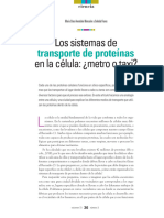 Los Sistemas de en La Célula: ¿Metro o Taxi?: Transporte de Proteínas