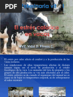 El Estrés Calórico en Vacas