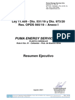 Resumen Del Proyecto PUMA ENERGY SERVICE S.A, Planta CAÑUELAS