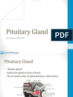 Pituitary Gland: Jason Ryan, MD, MPH