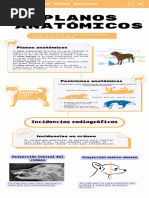 Planos, Posiciones e Incidencias