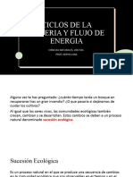 Ciclos de La Materia y Flujo de Energia