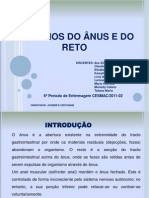 Disturbios Do Anus e Reto Quase Pronto!