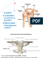 Shoulder Girdle Joint: Sterno