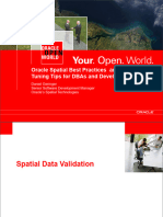 Spatial Oow09 Tuning and Best Practices2