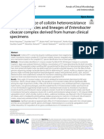 High Prevalence of Colistin Heteroresistance in Specific Species and Lineages of Enterobacter Cloacae Complex Derived From Human Clinical Specimens