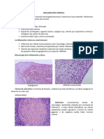 5-Inflamacion Ii