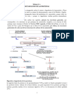 Texto - Met - Proteinas