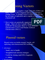 1 Cloning Vectors