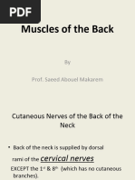 06-Deltoid Back & Scapular Muscles