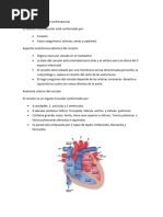 Apuntes Fisiologia Del Sistema Cardiovascular