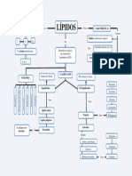 Mapa Conceptual Lipidos