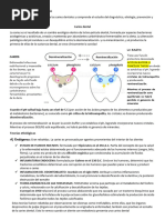 Tema 1 de Cariologia. Etimología de La Caries Dental