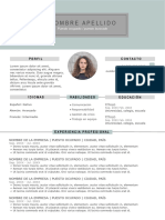 204 Curriculum Vitae Sin Pagar y Sin Registro