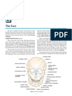 The Face: Superciliary Arch Frontalis Norma Frontalis