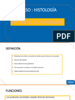 S3-Epitelio Glandular - Teoria 2023