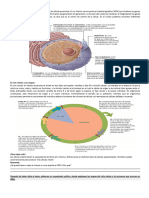 El Núcleo Celular