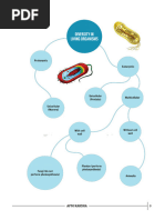 Diversity in Living Organisms