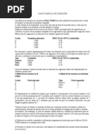 Fabrica de Tomates Prog Lineal