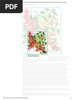 Flora de Cochabamba - Departamento de Cochabamba - Historia, Literatura, Educación de Bolivia, Mapas