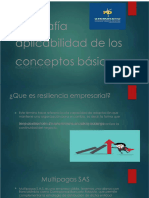 PDF Infografia Aplicabilidad de Los Conceptos Basicos Resilencia Empresarial - Compress