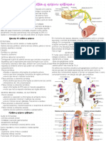 Fisiologia 