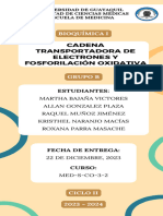 Cadena Transportadora de Electrones y Fosforilación Oxidativa - Grupo B