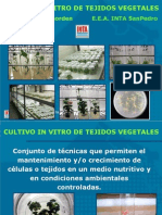 Cultivo in Vitro de Tejidos Vegetales