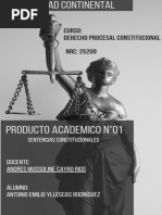 Derecho Procesal Constitucional - Producto Academico #01