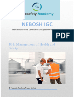 Nebosh Igc Ig1