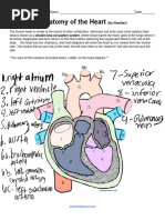 K'miyah Randall-Peacock - Learn The Anatomy of The Heart (By Number)