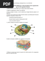 Actividades UD1 AFPB