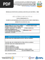 Modelo Relatório Parcial (2) Pedro