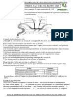 Sujet 05 Prepa Bac D Elite-Renfo 2024