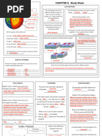 Sec 1 Chapter 5 Study Sheet ANSWERS