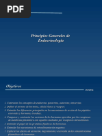 Fisiologia Endocrina