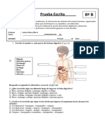 Prueba de Ciencias Adecuada Sistemas Res y Dig