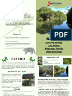 Diptico EL ESTERO