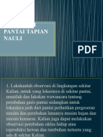 Observasi Pantai Tapian Nauli