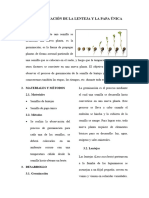 Germinación de La Lenteja y La Papa Única