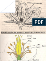 Plant Reproductive System, Gamete Formation and Development and Fertilization