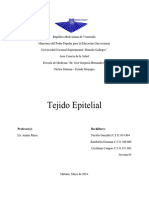 Tejido Epitelial