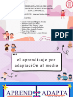 Aprendizaje Por Adaptacion Al Medio